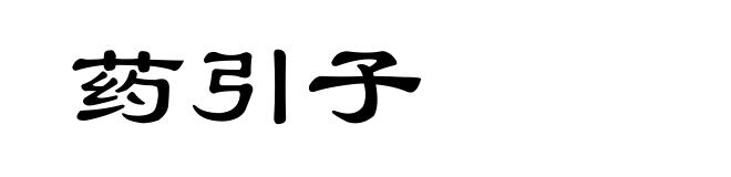 药引子