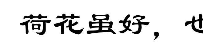 荷花虽好,也要绿叶扶持