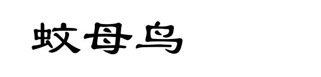 蚊母鸟