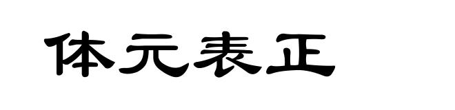 体元表正