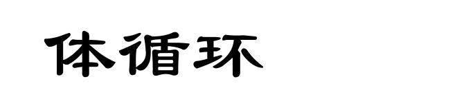 体循环