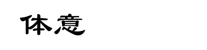 体意