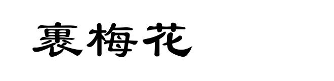 裹梅花