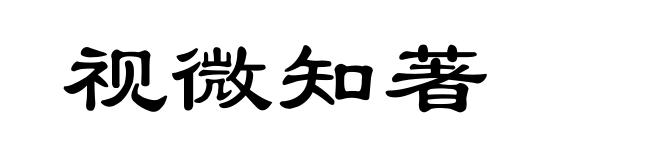 视微知著