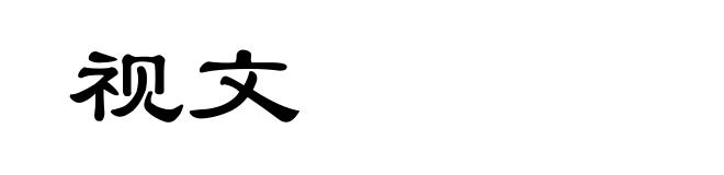 视文