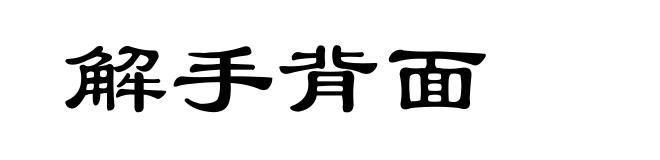 解手背面