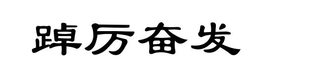 踔厉奋发