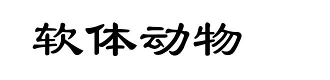 软体动物