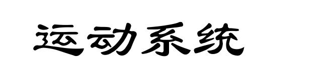 运动系统