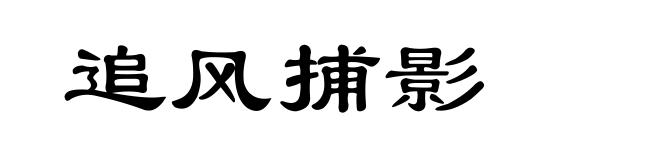 追风捕影