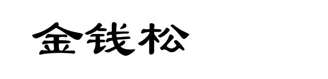 金钱松