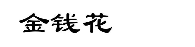 金钱花