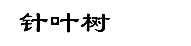 针叶树
