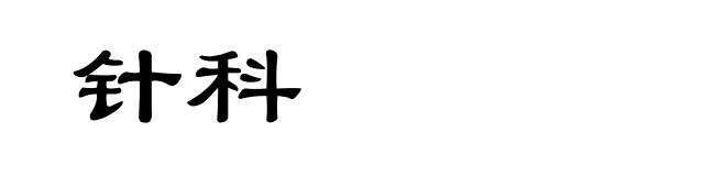 针科