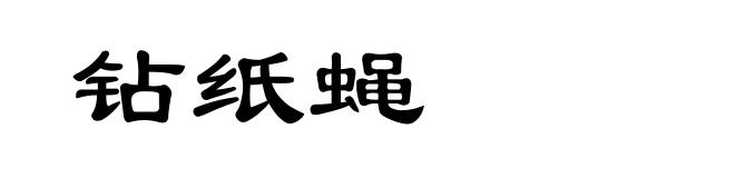 钻纸蝇