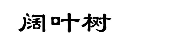 阔叶树