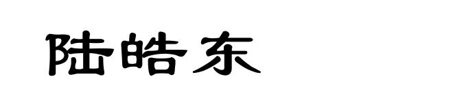 陆皓东