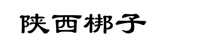 陕西梆子