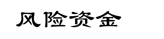 风险资金