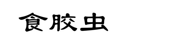 食胶虫