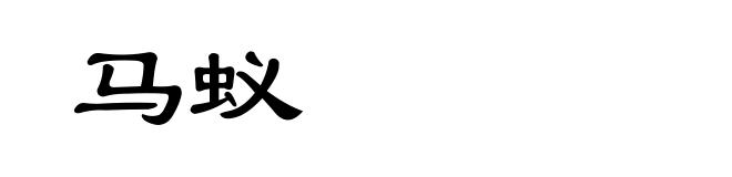 马蚁