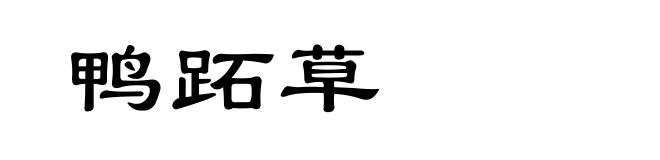 鸭跖草