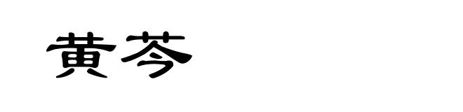 黄芩