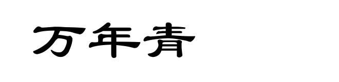 万年青