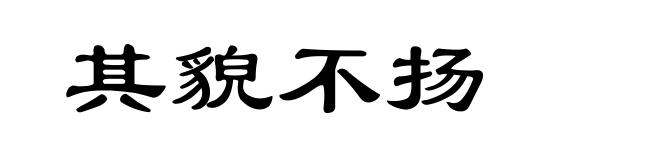 其貌不扬