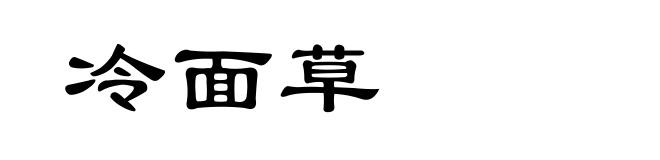 冷面草