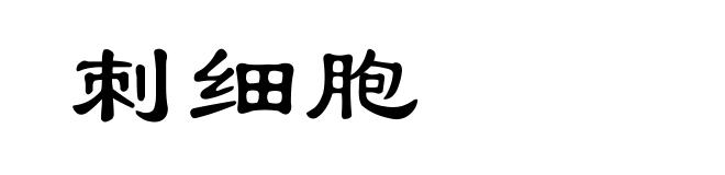 刺细胞