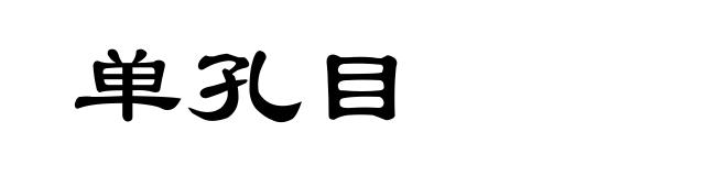 单孔目