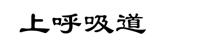 上呼吸道