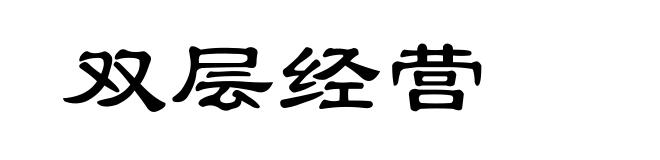 双层经营
