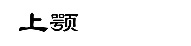 上颚