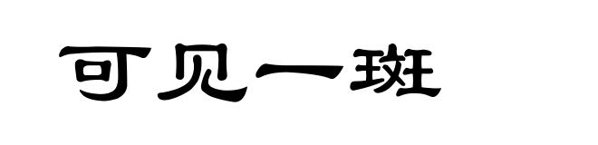 可见一斑