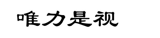 唯力是视