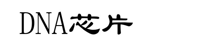 DNA芯片