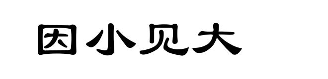 因小见大