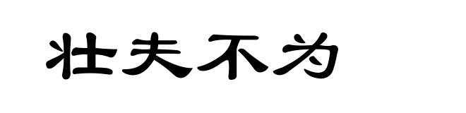 壮夫不为