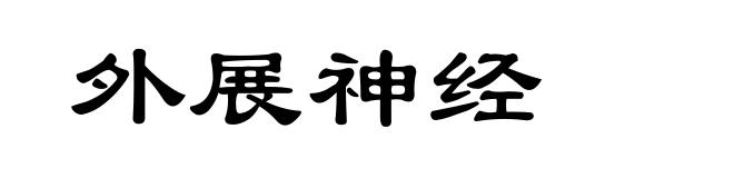 外展神经