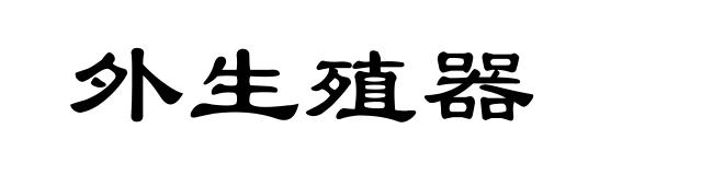 外生殖器