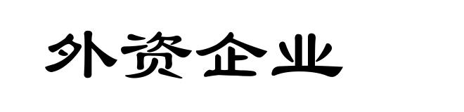 外资企业