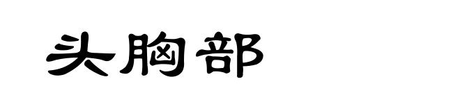头胸部