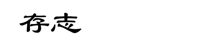 存志