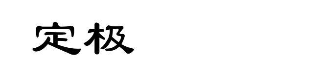 定极
