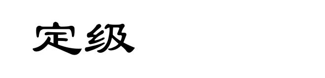 定级