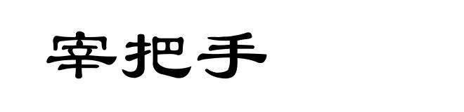 宰把手