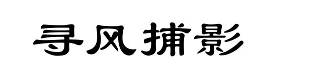 寻风捕影