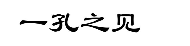 一孔之见